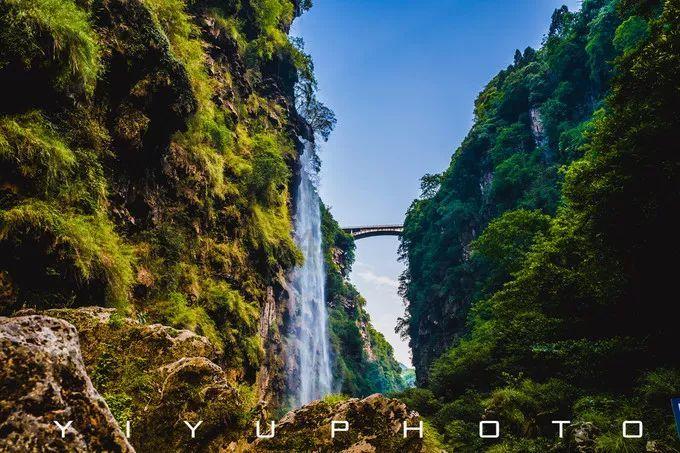 瑞德的冒险之旅中文版