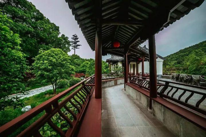 虫虫助手下载