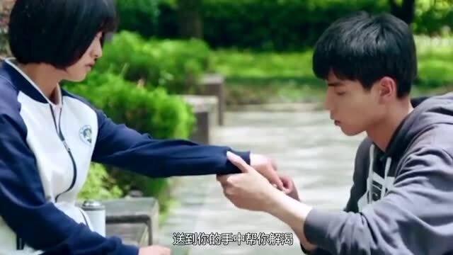 饥饿的松鼠救援