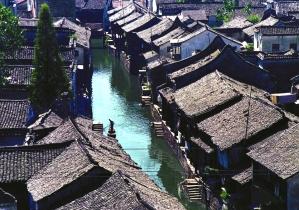 模拟山羊